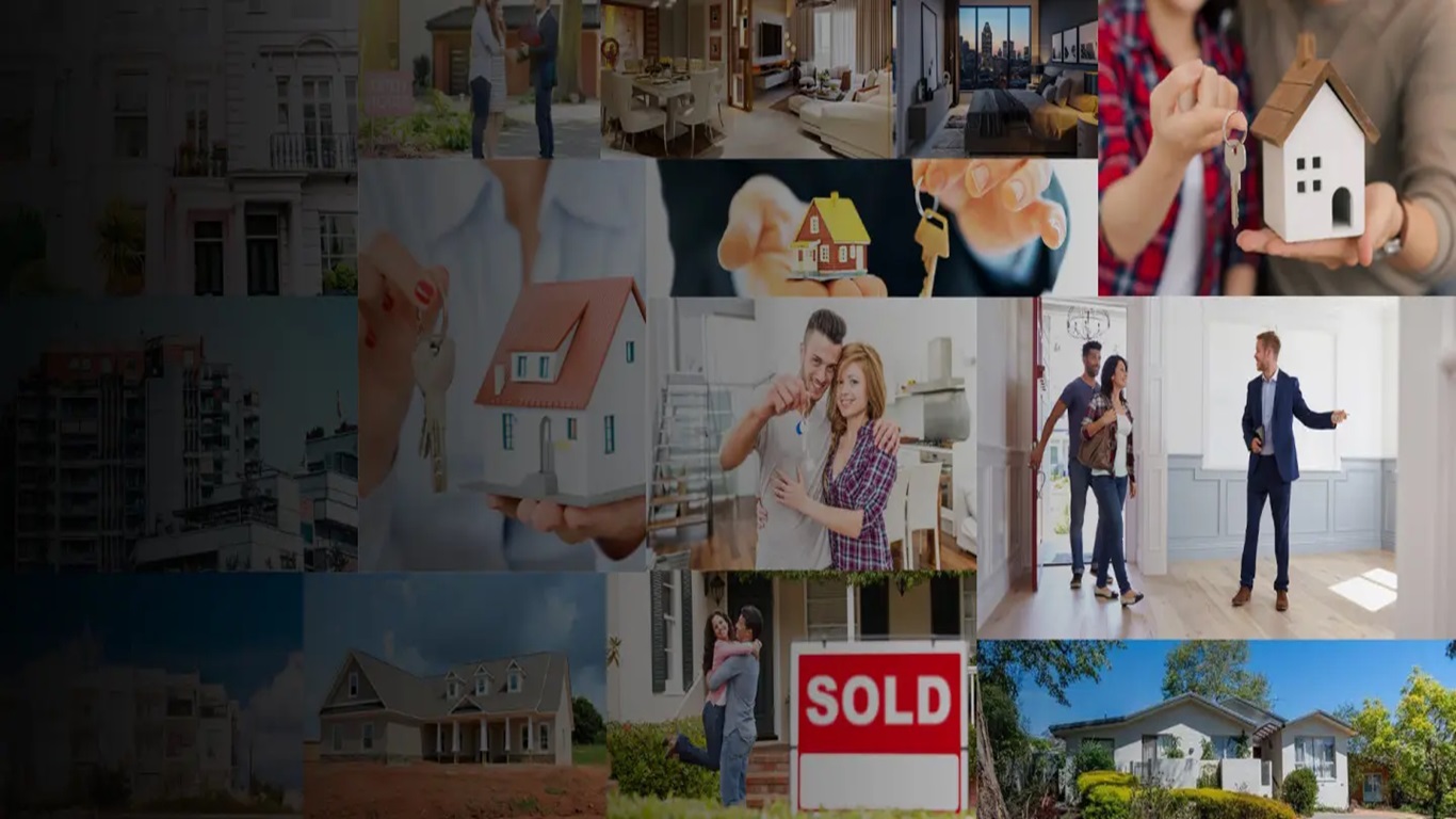 Expert Guidance Every Step of the Way